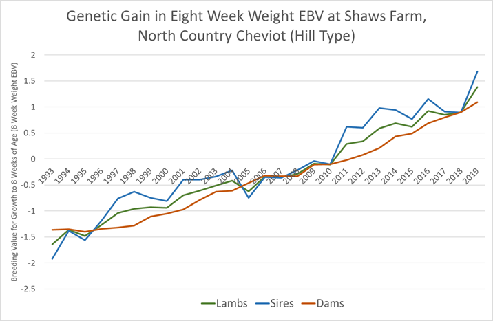 Genetic Progress at Shaws Farm