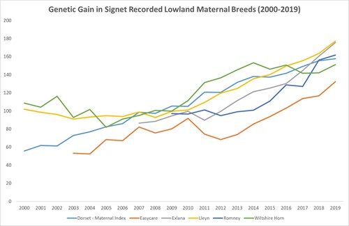 Genetic Gain in Maternal Breeds recorded with Signet