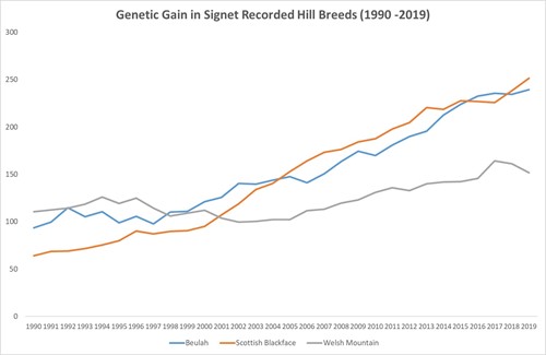 Genetic Gain in Hill Sheep Breeds recorded with Signet